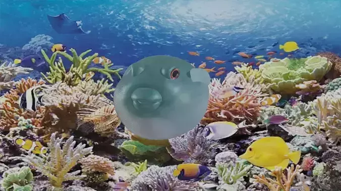 pufferfish puffer fish canvas 3D model