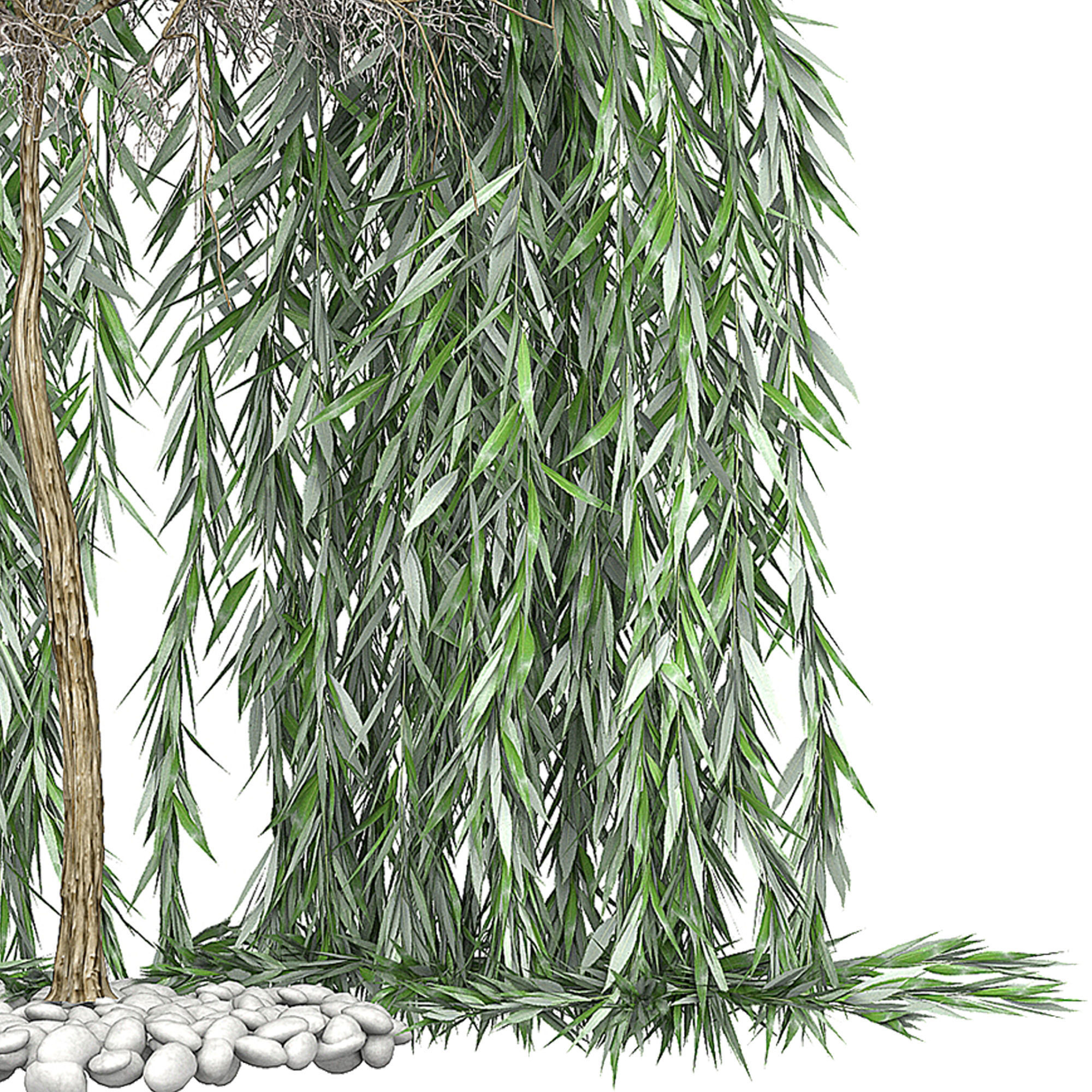 Flower Pack 142 3D model_1