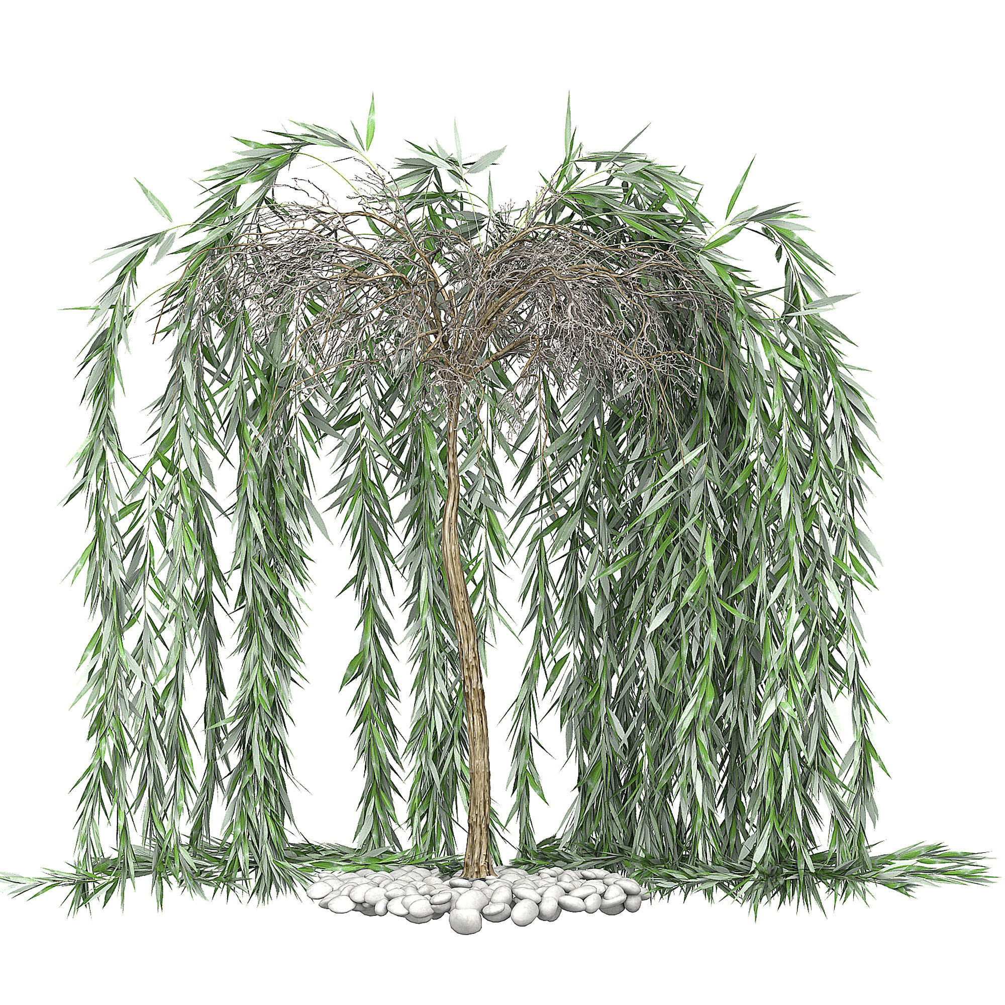 Flower Pack 142 3D model_2