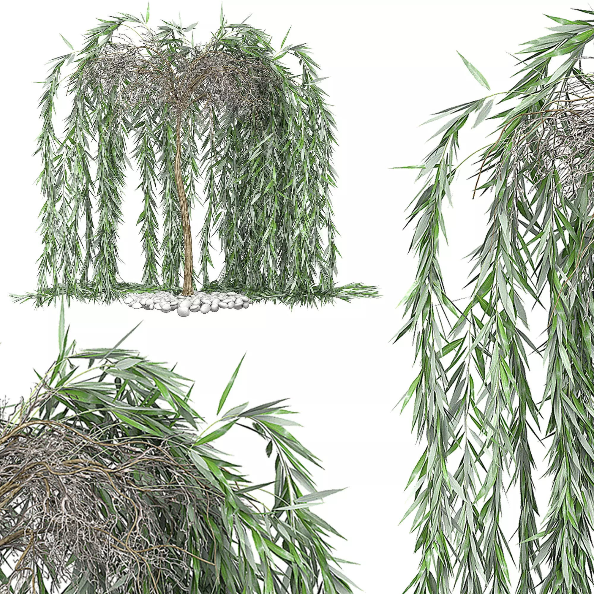 Flower Pack 142 3D model_0