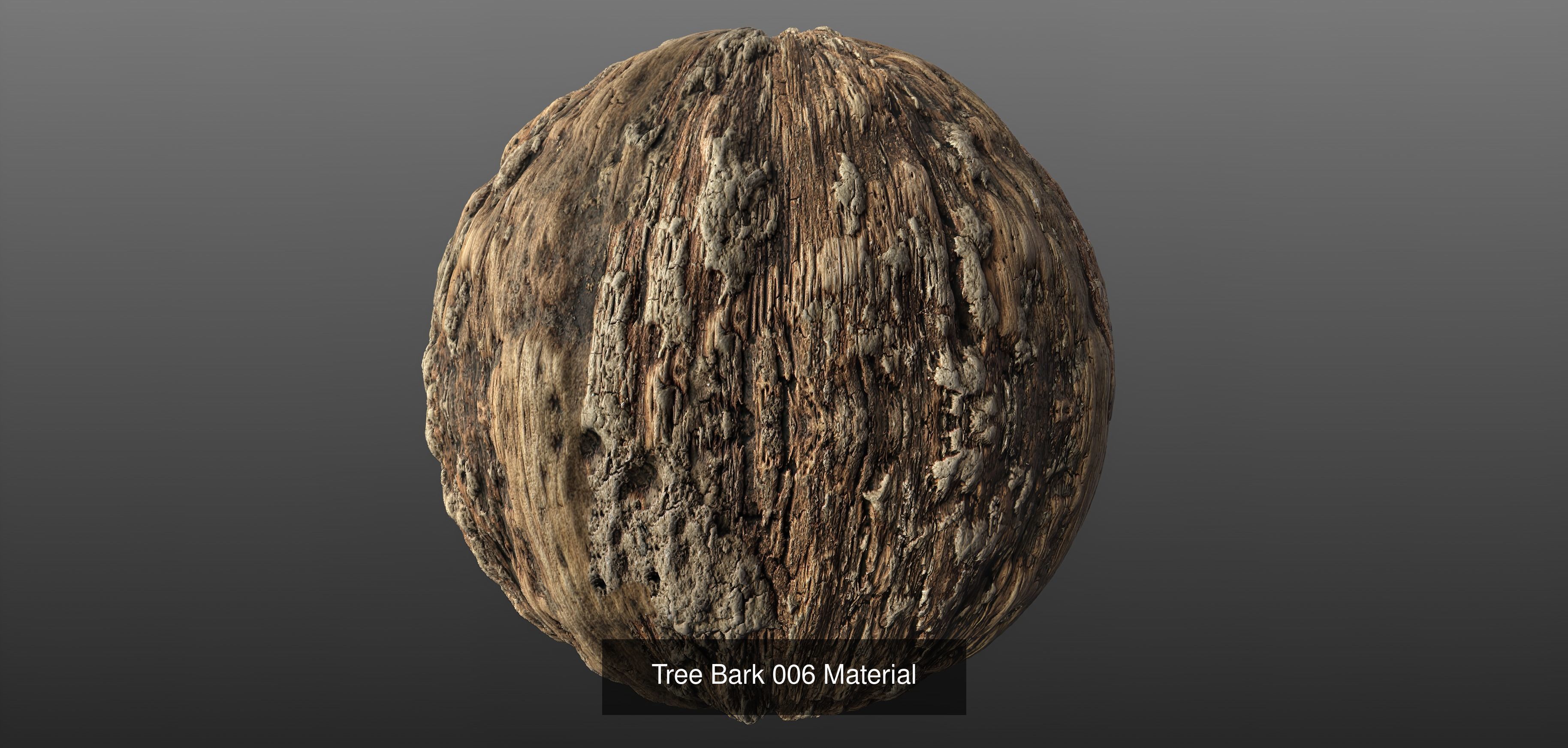Tree Bark Materials Texture_6