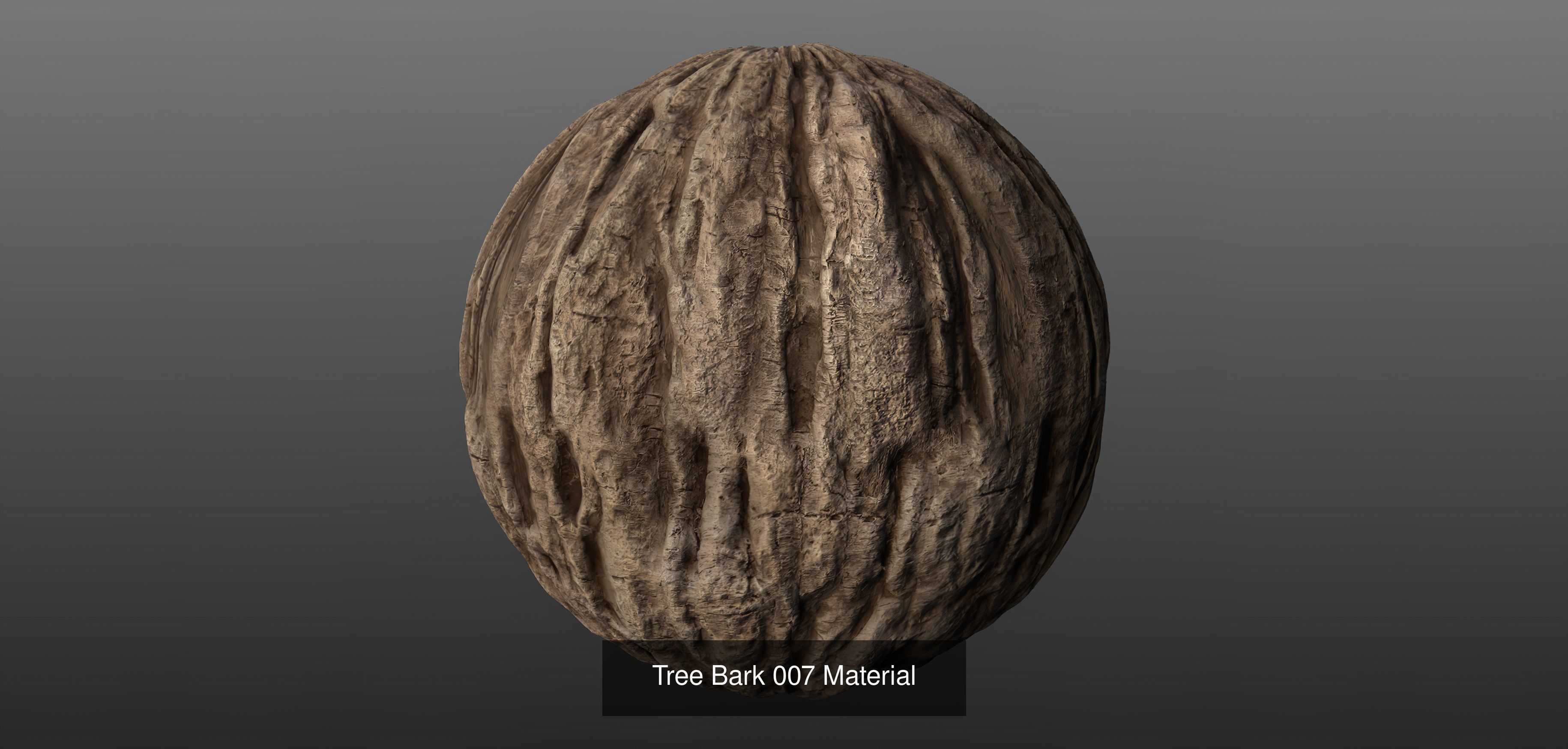 Tree Bark Materials Texture_7