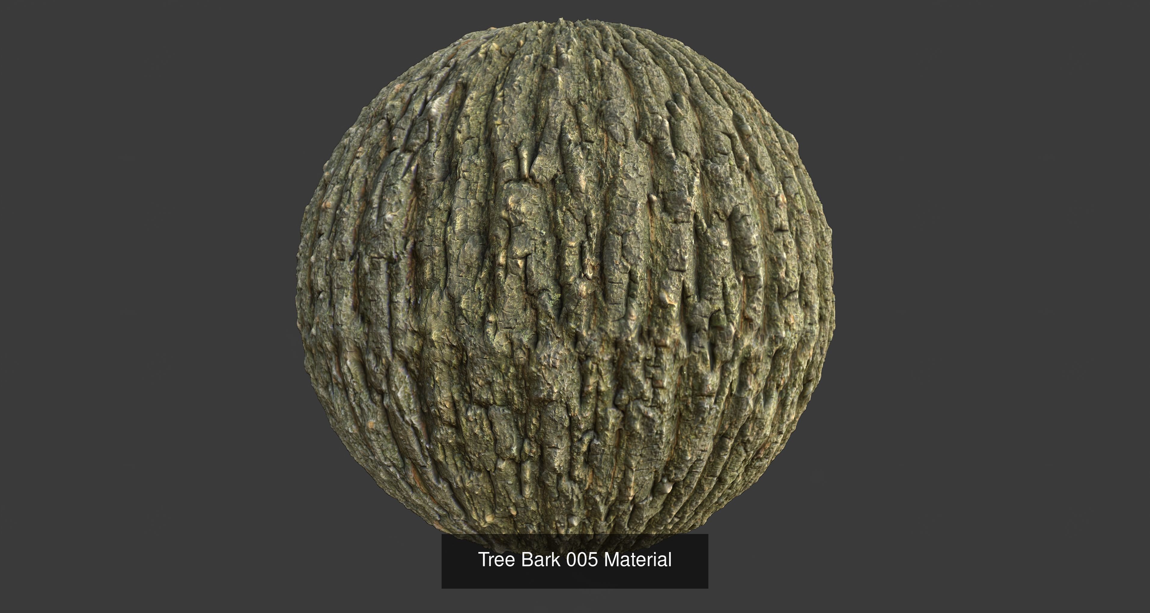 Tree Bark Materials Texture_5