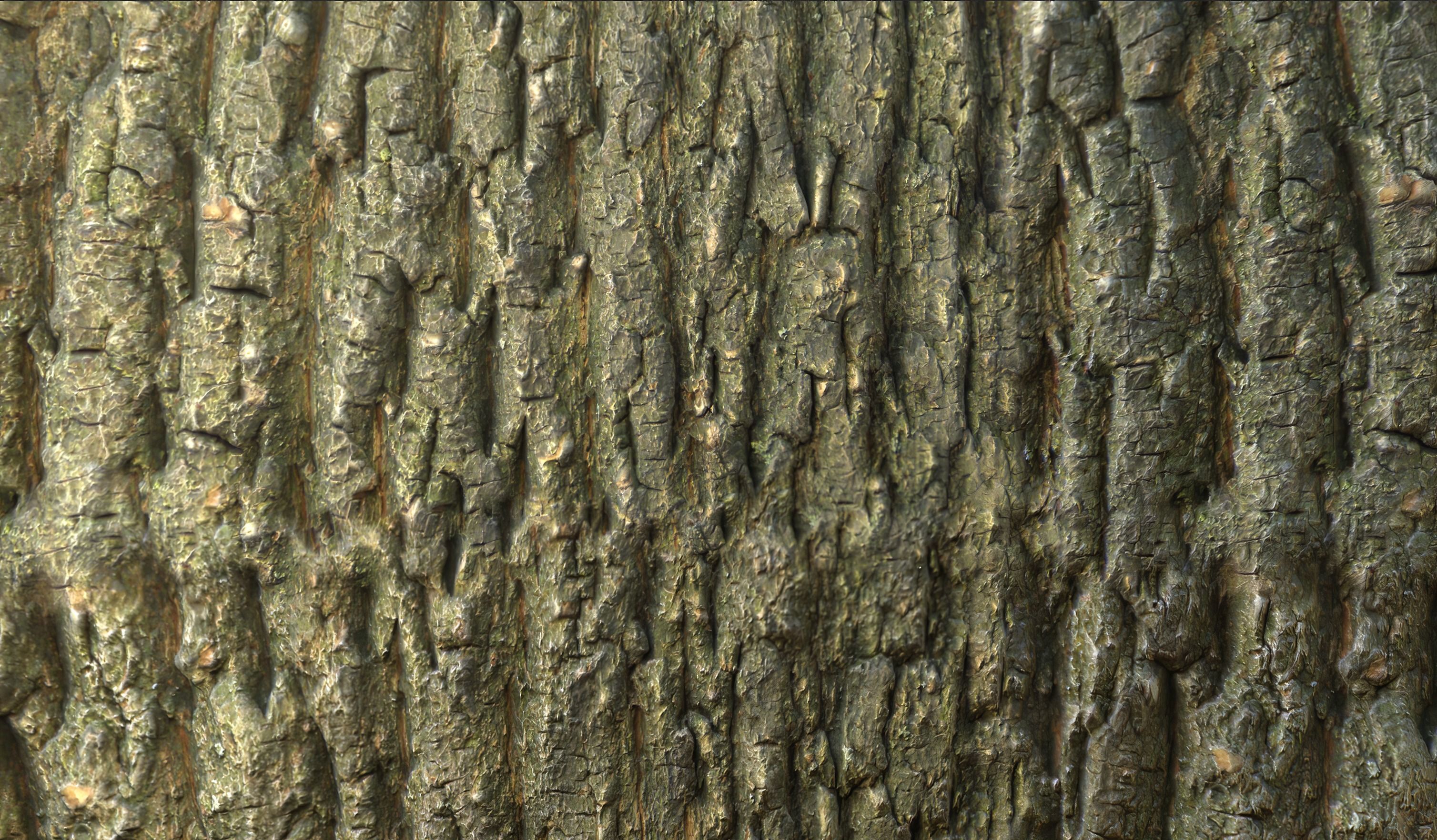Tree Bark Materials Texture_11