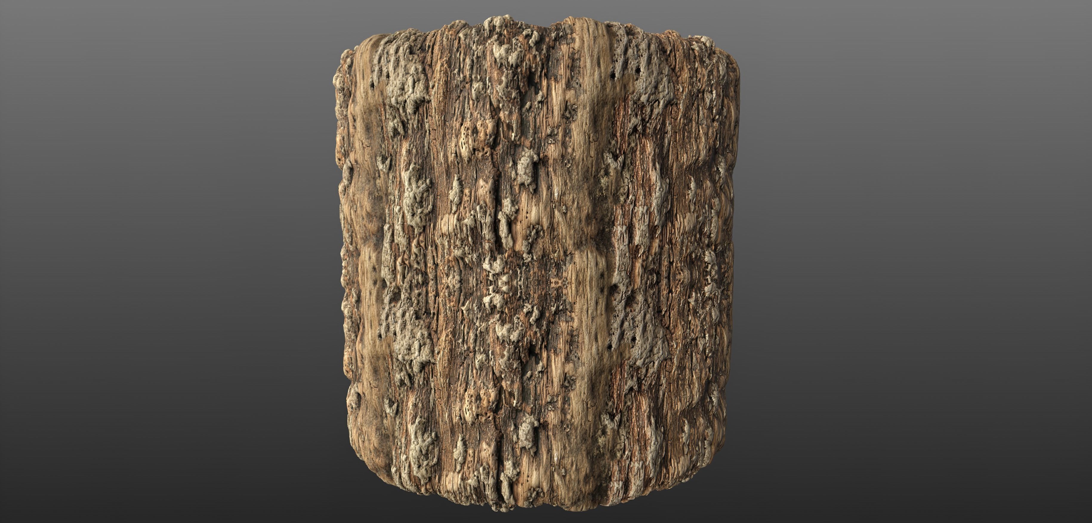 Tree Bark Materials Texture_12