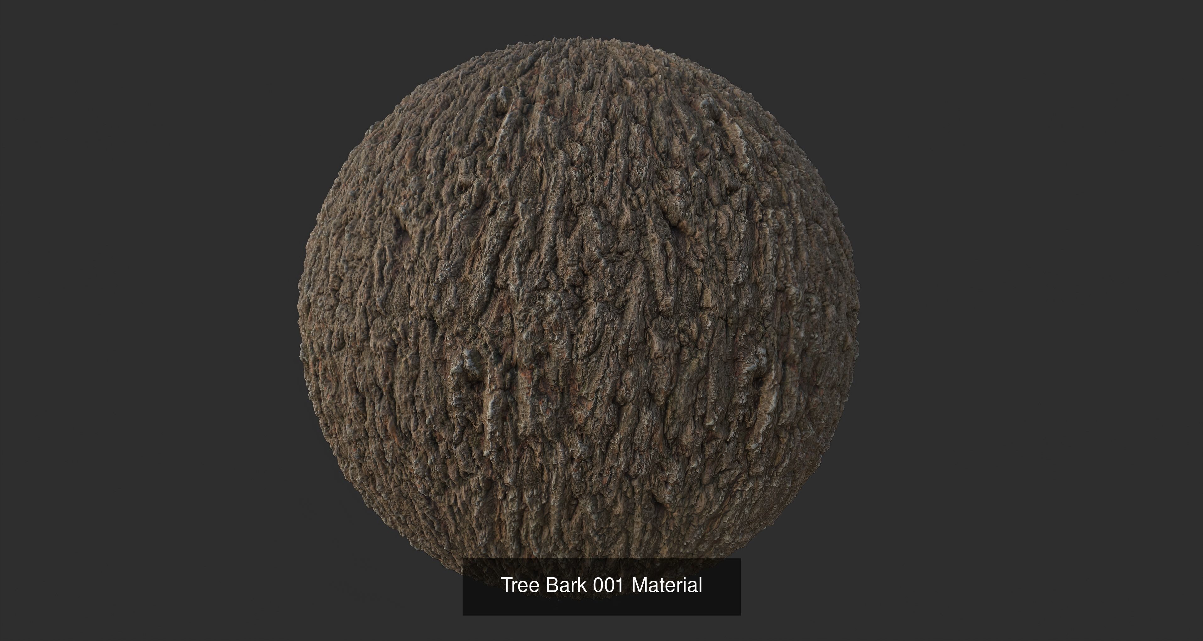 Tree Bark Materials Texture_1