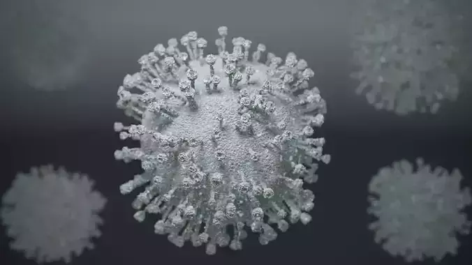 corona virus