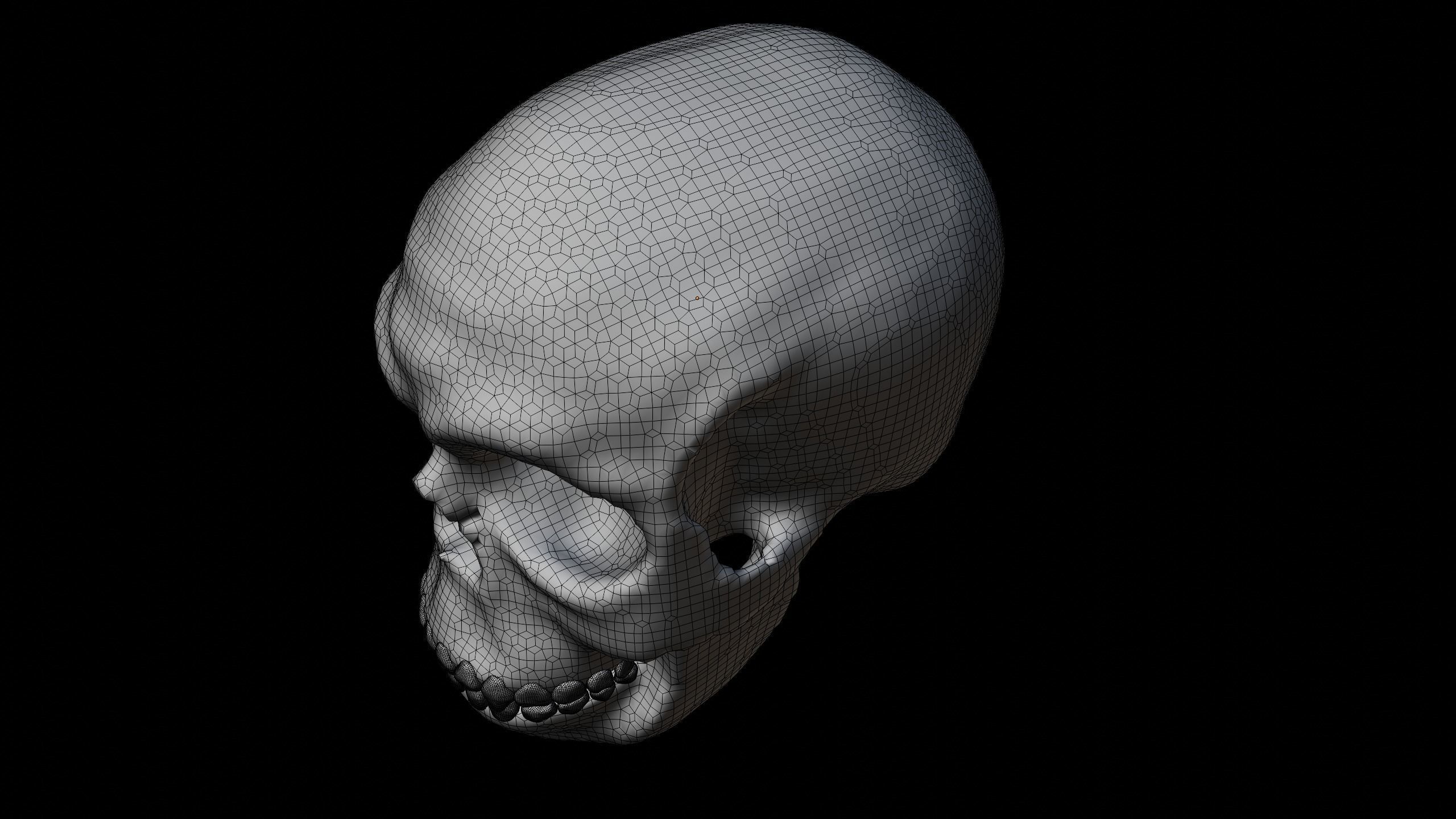 Male skull Low-poly 3D model_3