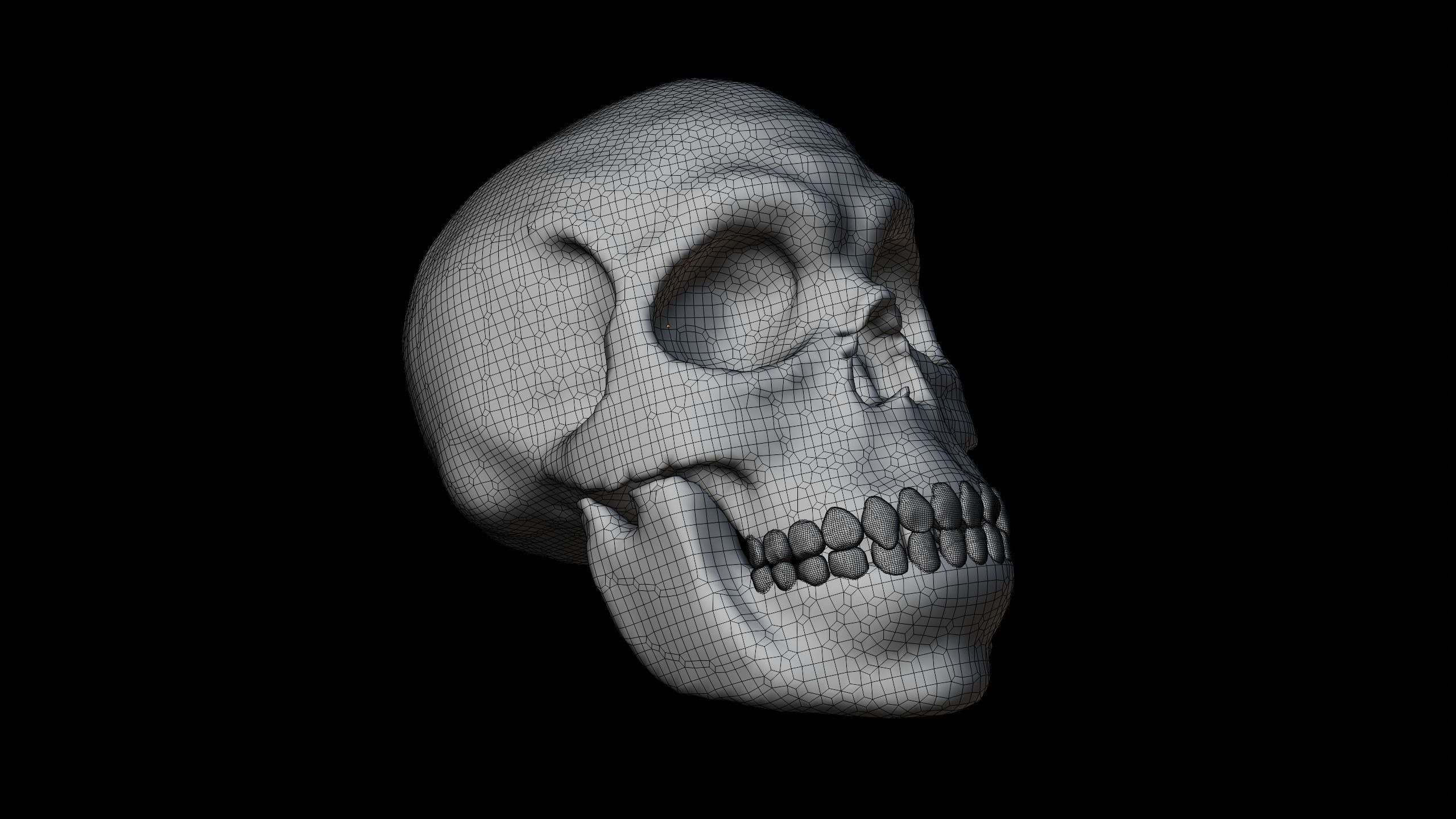 Male skull Low-poly 3D model_4
