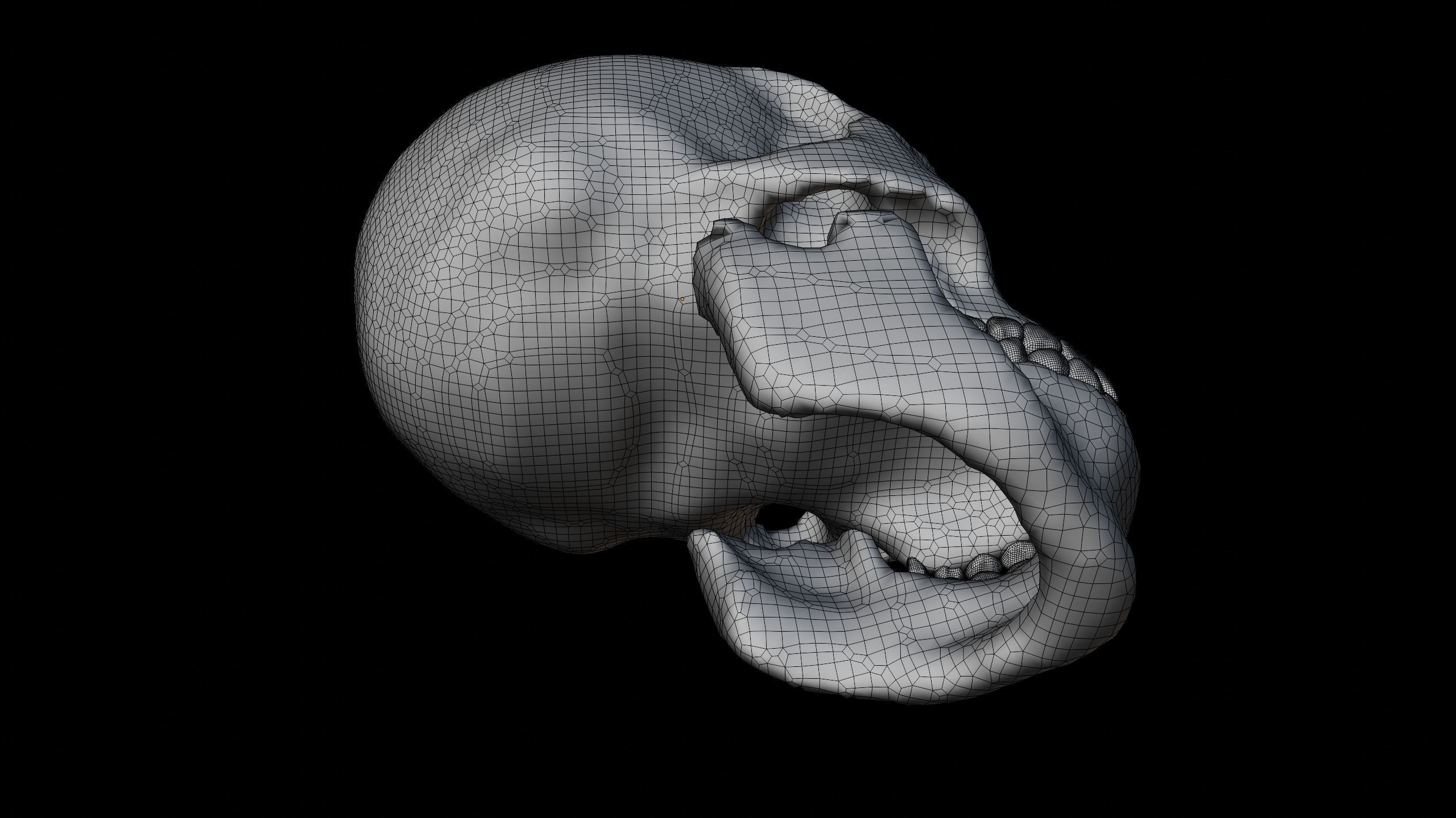 Male skull Low-poly 3D model_5