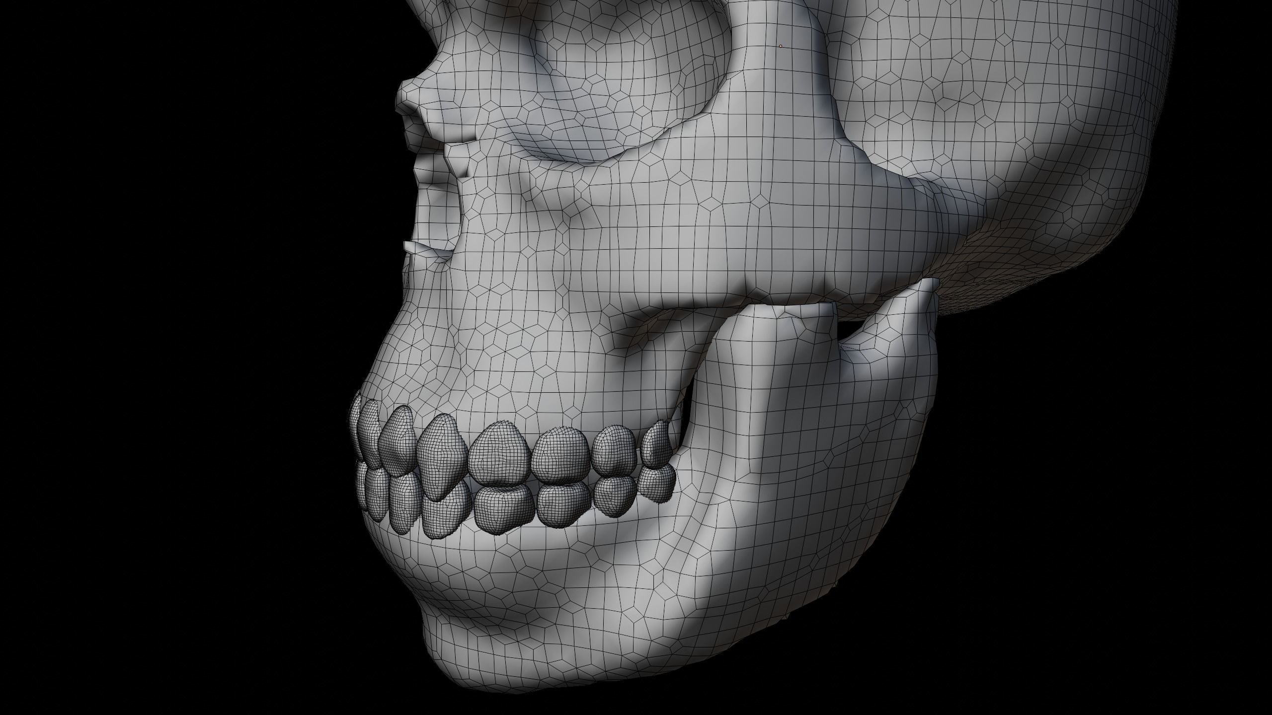 Male skull Low-poly 3D model_6