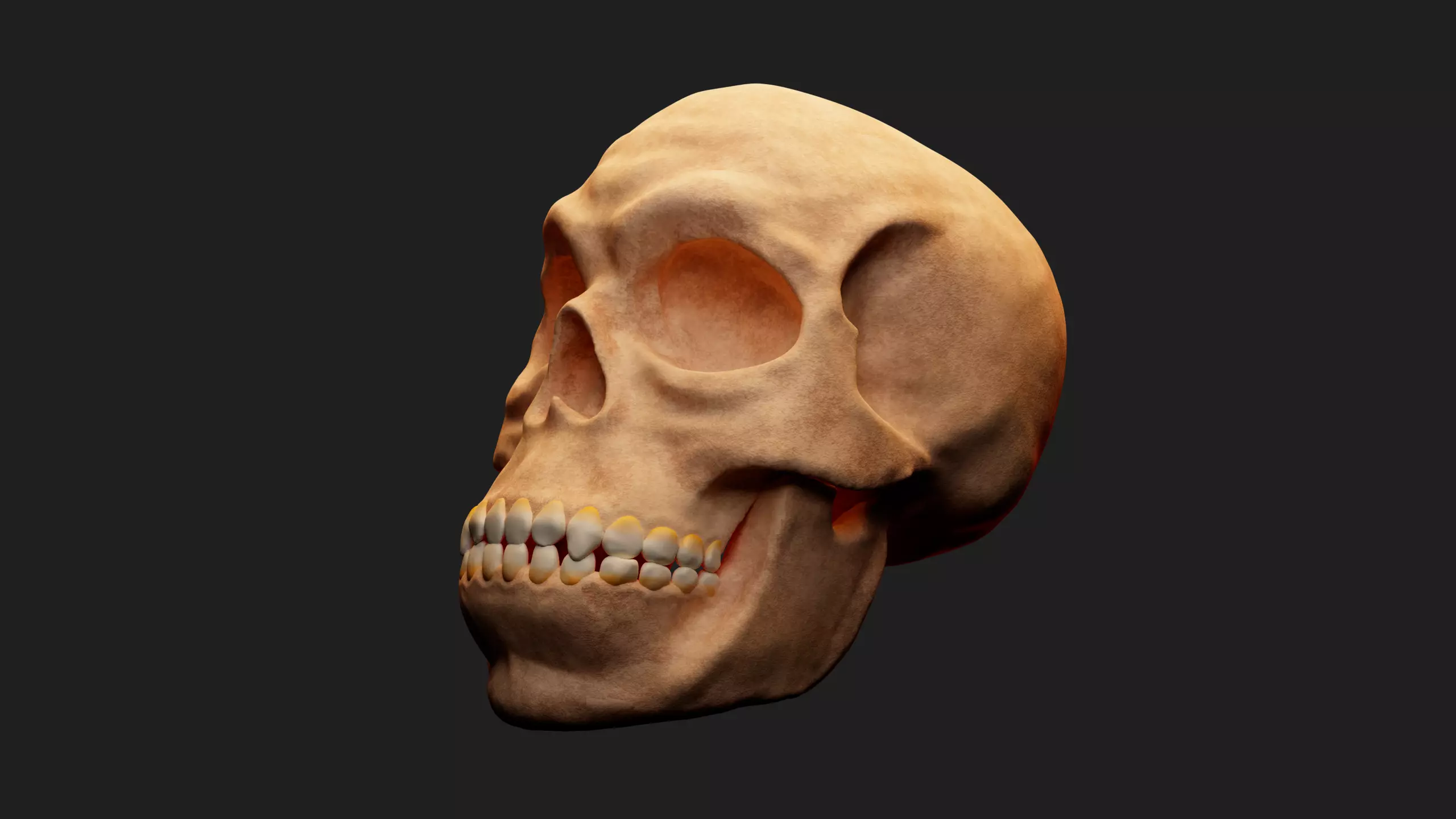 Male skull Low-poly 3D model_0