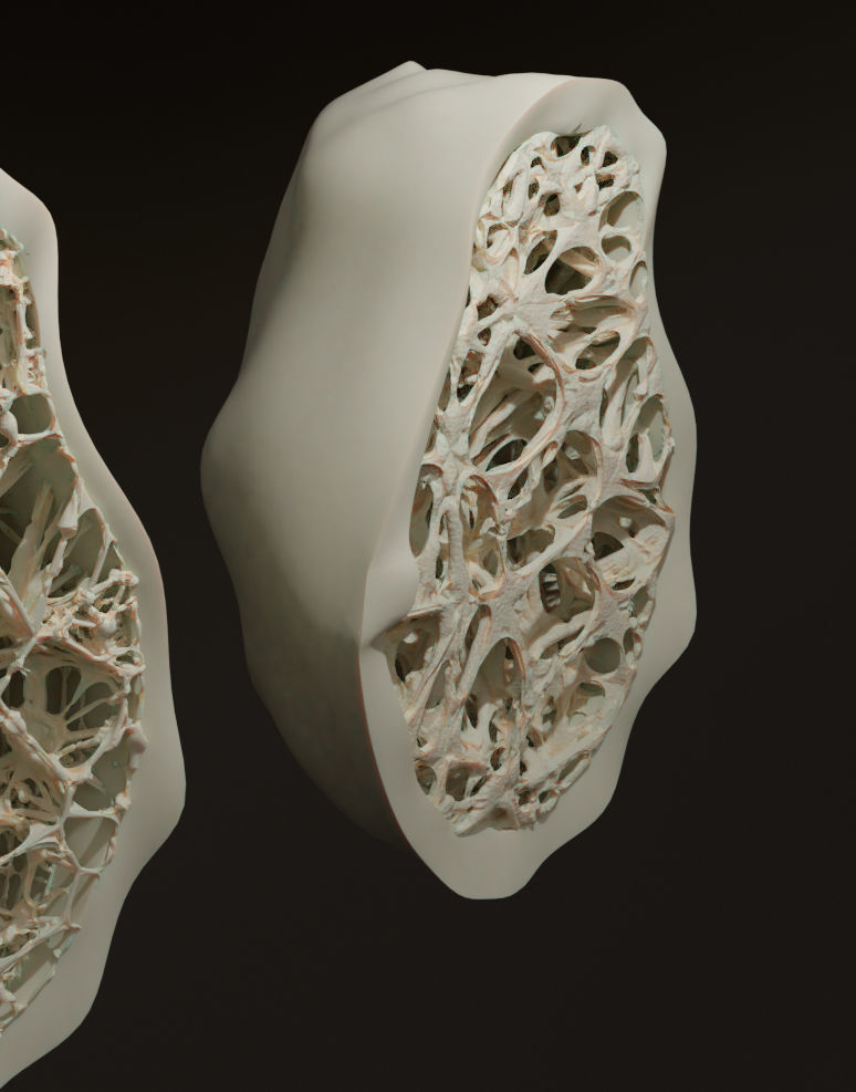 bone structure 3D model_1