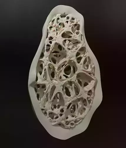 bone structure 3D model