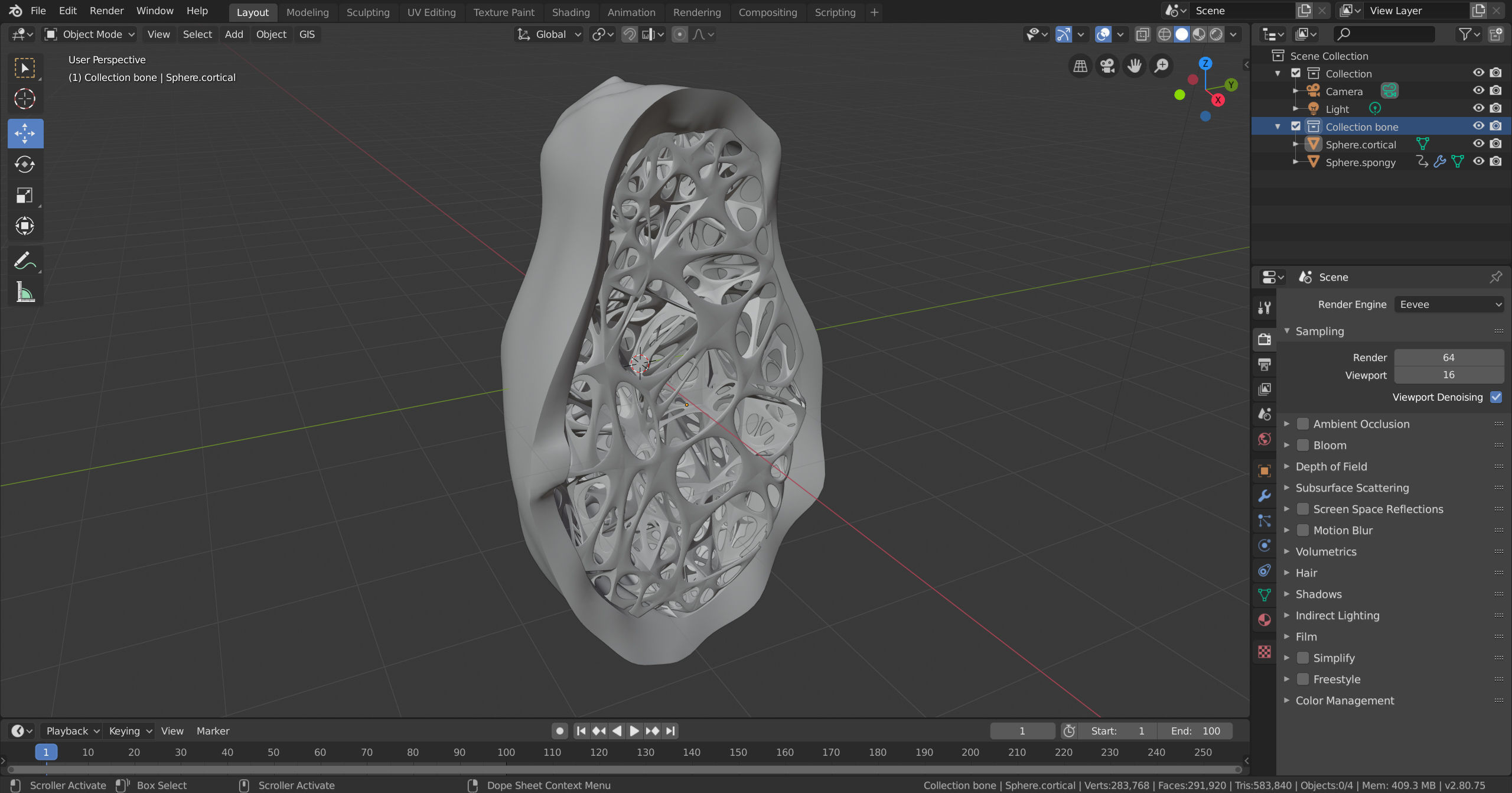 bone structure 3D model_3