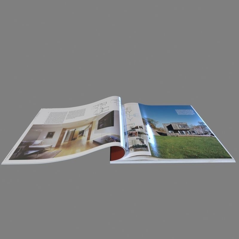 magazines magazine cover with woman 3D model_6