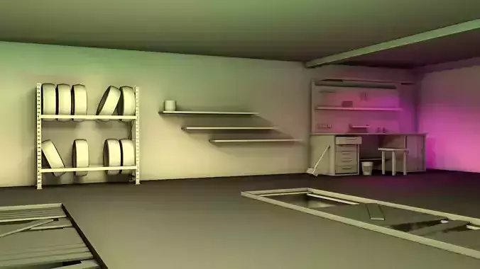 Garage room with bookshelves and shelves