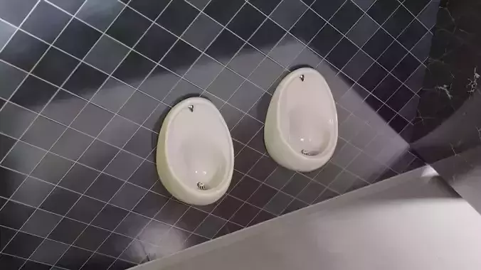 Urinal two bowls hanging from ceiling