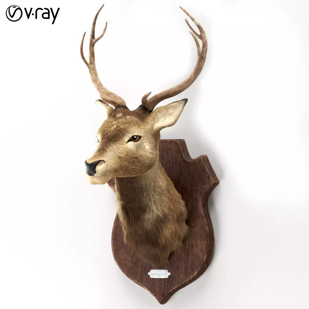 Deer head 3d model Low-poly 3D model_0