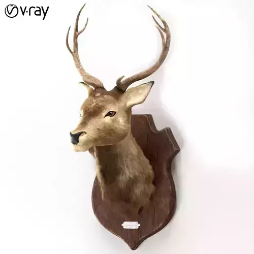 Deer head 3d model