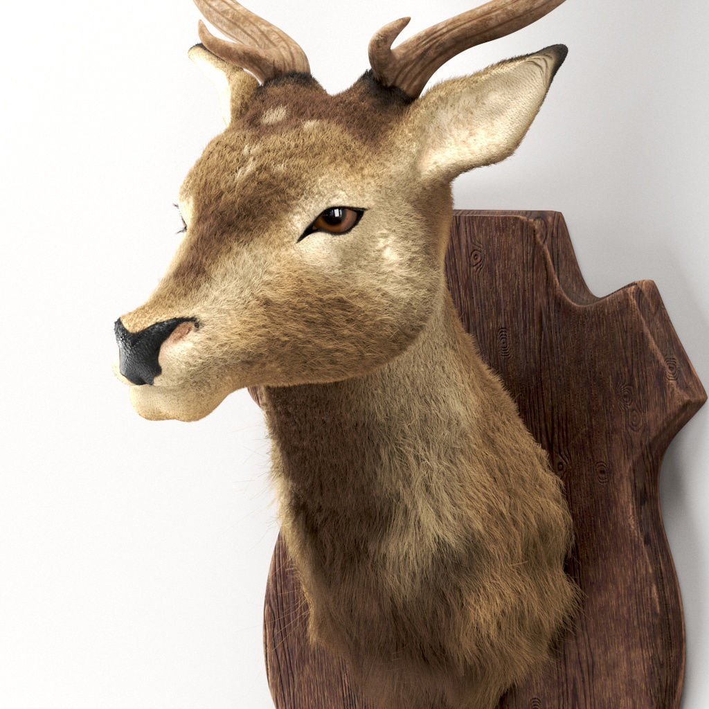 Deer head 3d model Low-poly 3D model_1