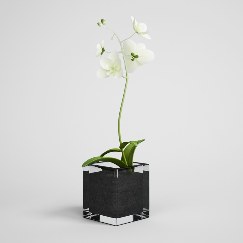 CGAXIS plants collection volume 1 3D model_10