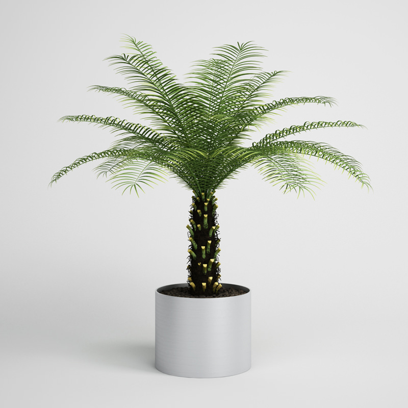 CGAXIS plants collection volume 1 3D model_16