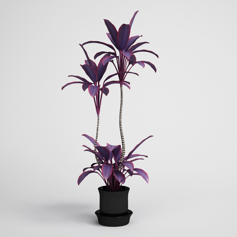CGAXIS plants collection volume 1 3D model_8