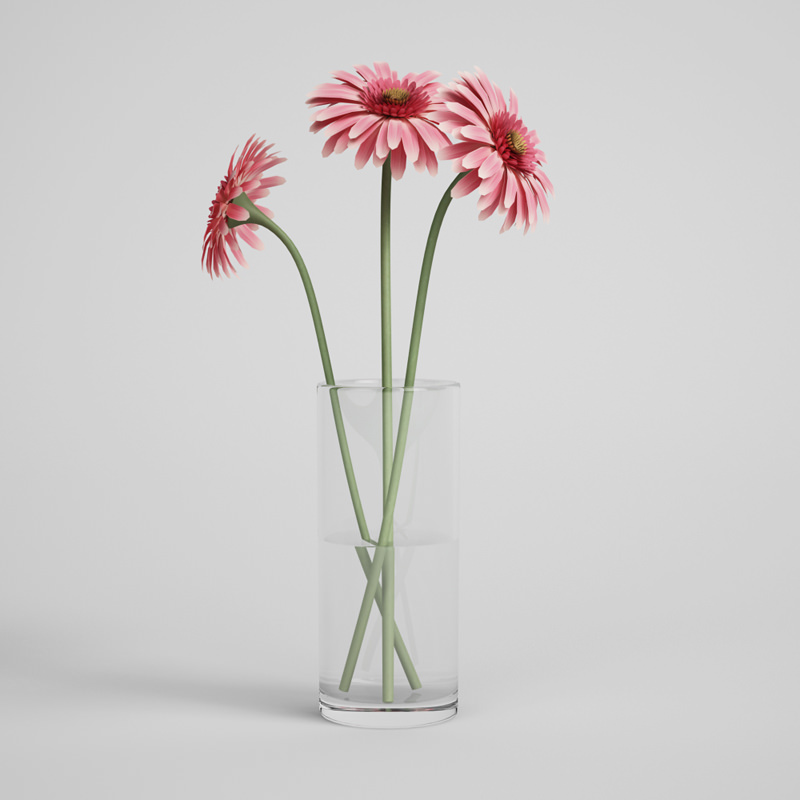 CGAXIS plants collection volume 1 3D model_13