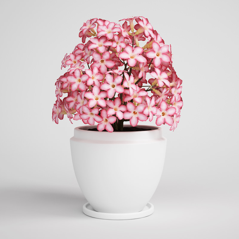 CGAXIS plants collection volume 1 3D model_6