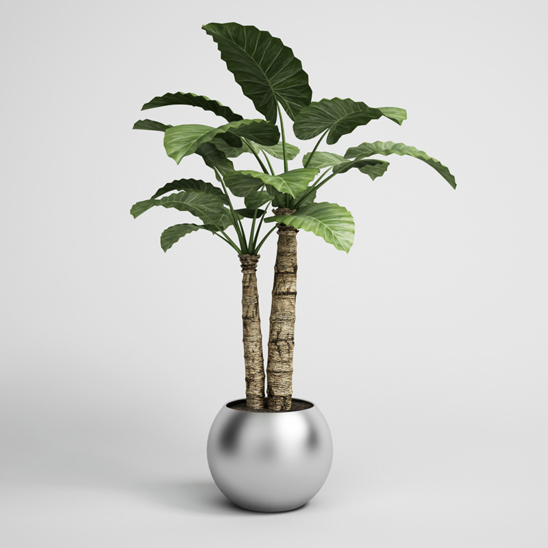 CGAXIS plants collection volume 1 3D model_2