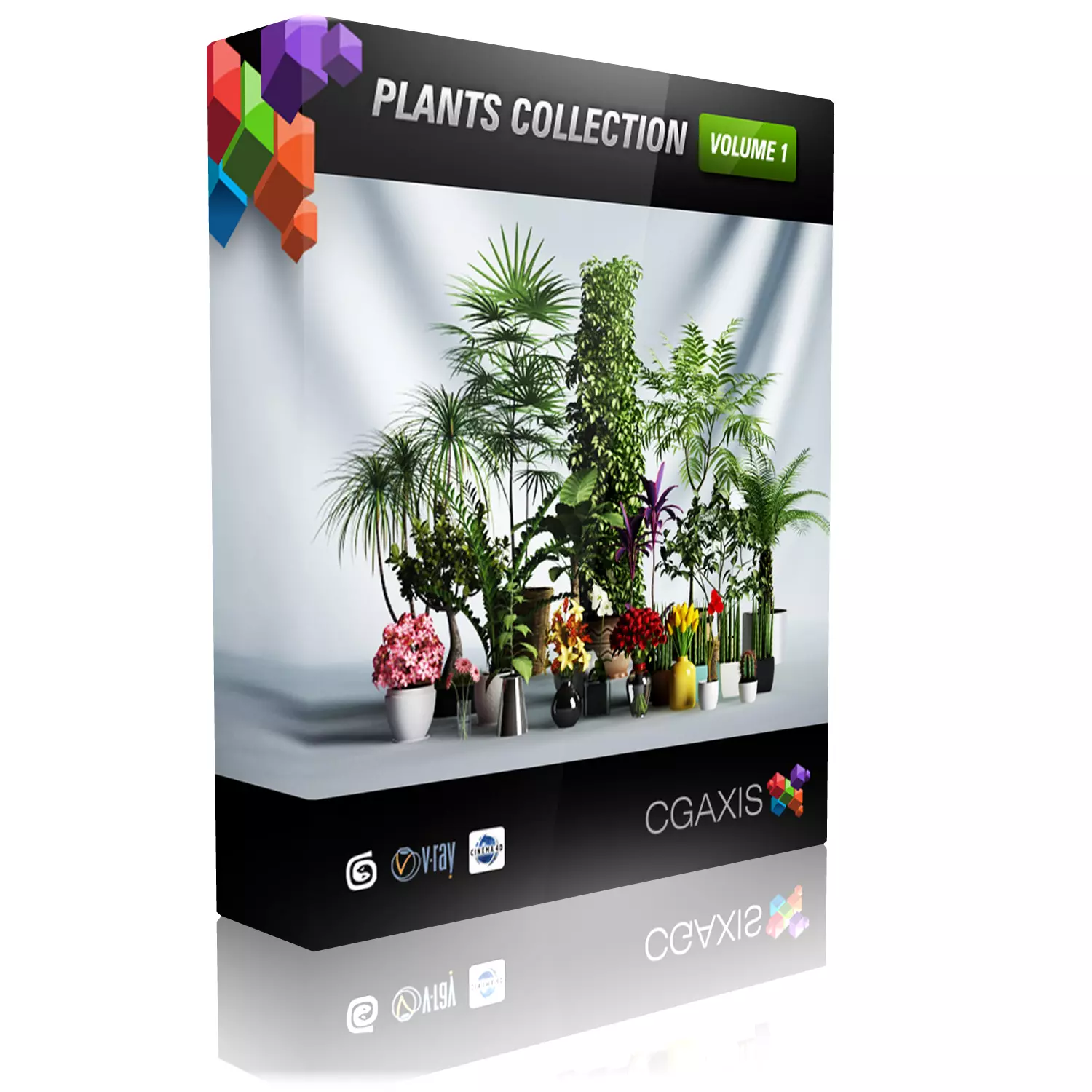 CGAXIS plants collection volume 1 3D model_0