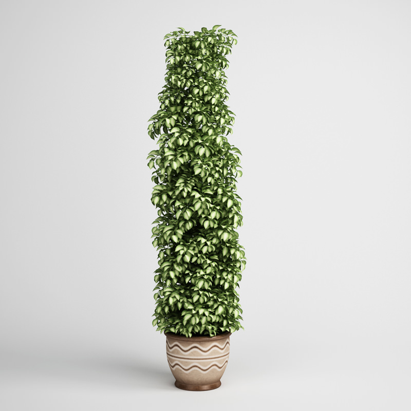 CGAXIS plants collection volume 1 3D model_1