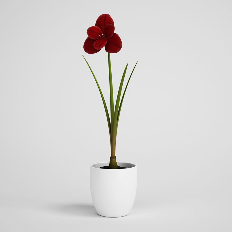CGAXIS plants collection volume 1 3D model_12