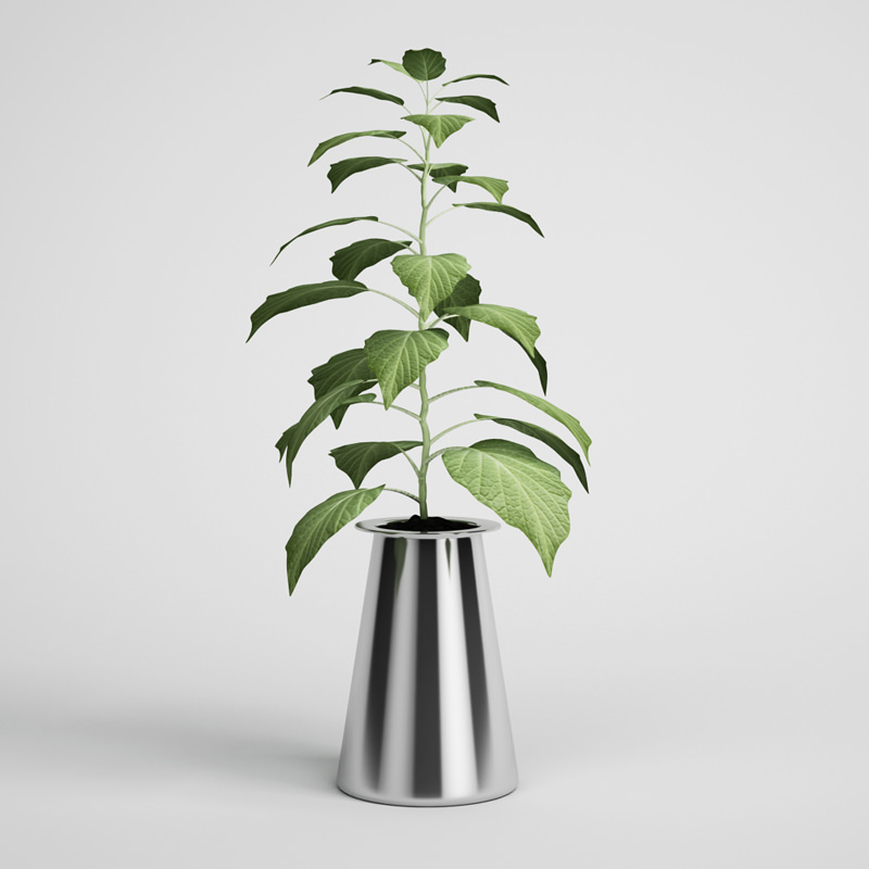 CGAXIS plants collection volume 1 3D model_4