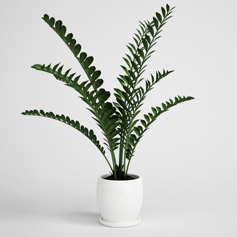 CGAXIS plants collection volume 1 3D model_15