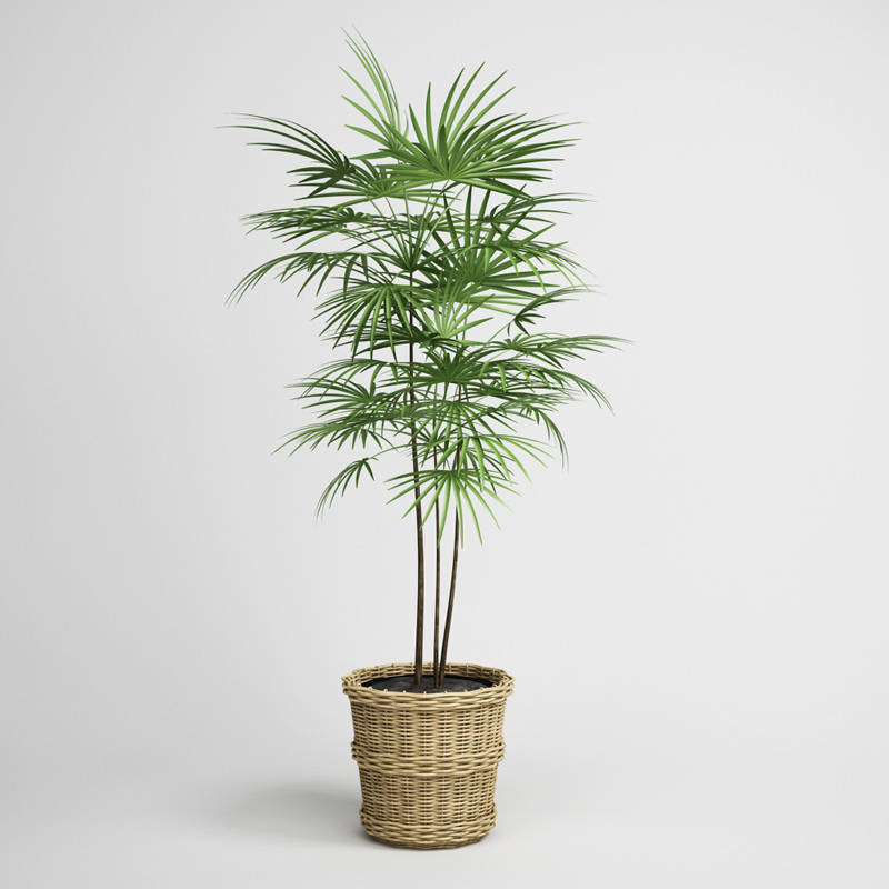 CGAXIS plants collection volume 1 3D model_7