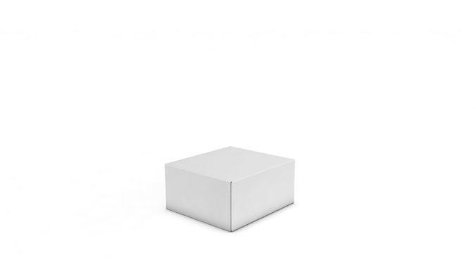 Adjustable and Rigged Box Package All in one 3D model 5
