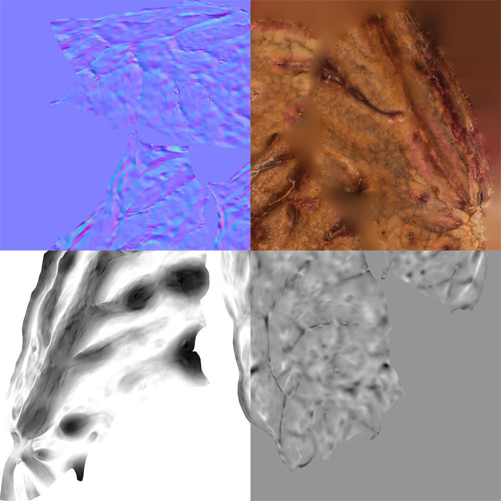 Peach Pit 3D model_10