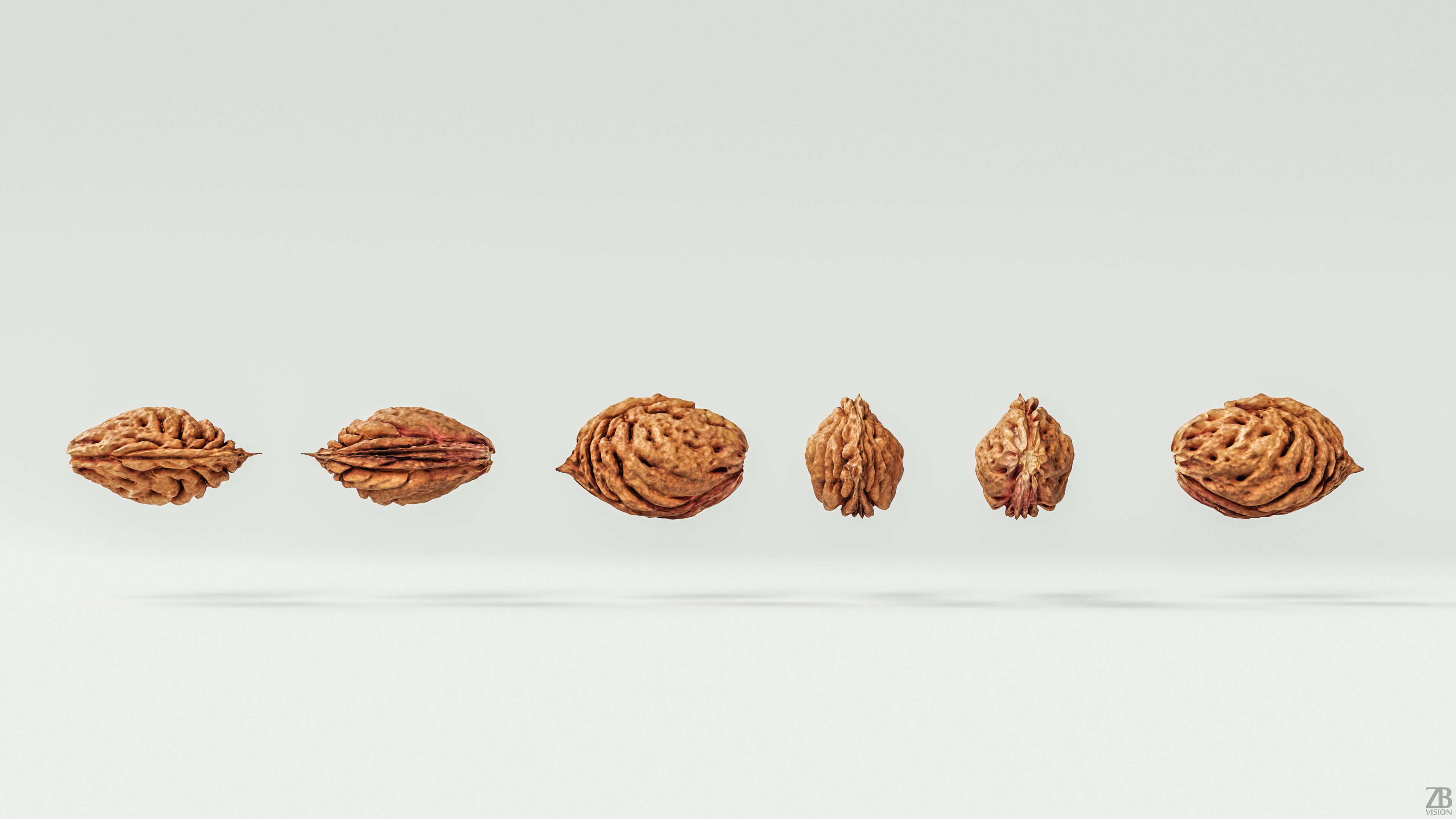 Peach Pit 3D model_3