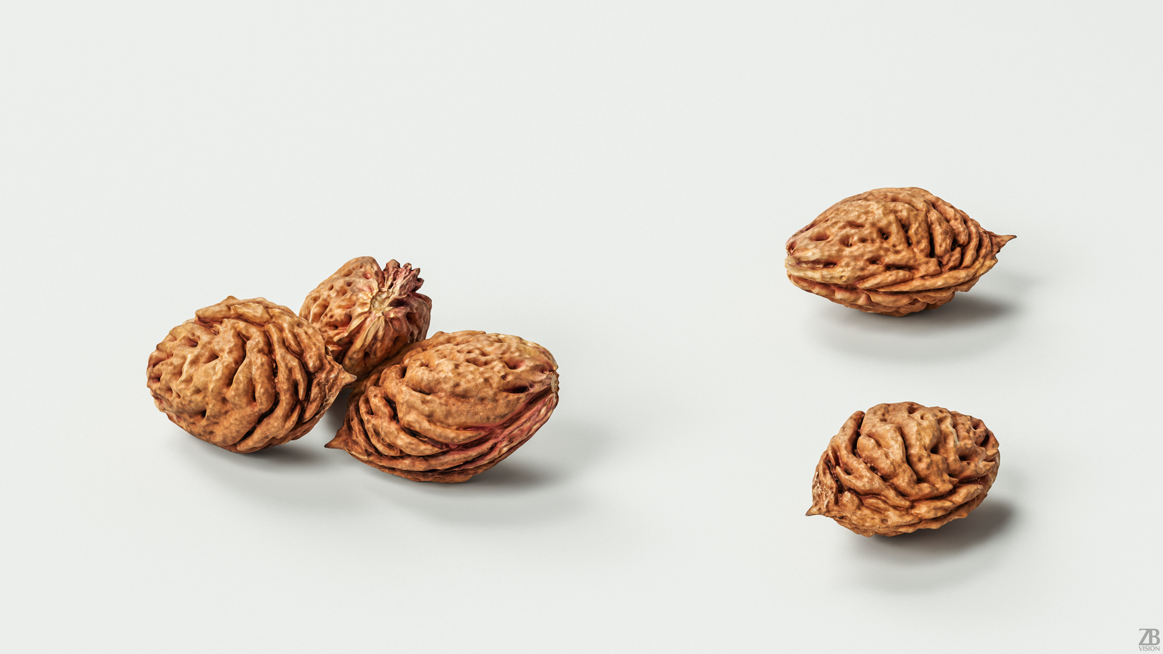 Peach Pit 3D model_1