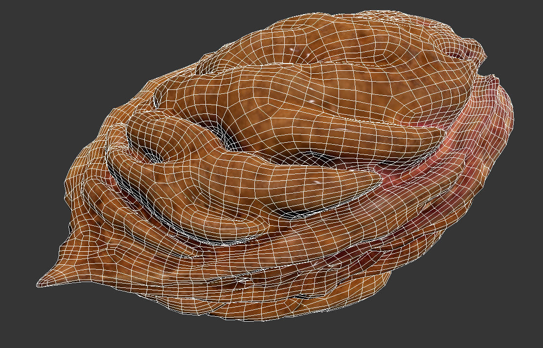 Peach Pit 3D model_8