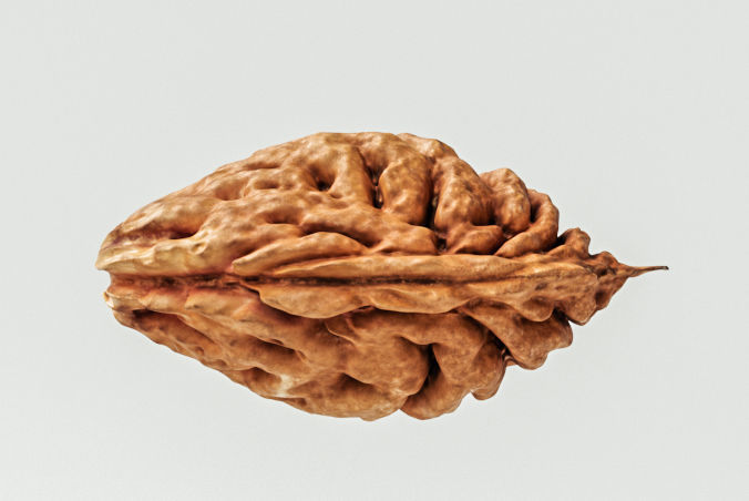 Peach Pit 3D model_4