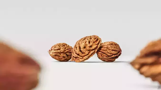 Peach Pit 3D model