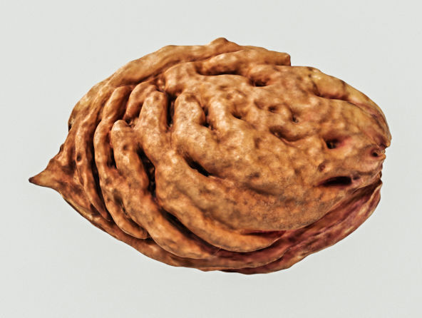 Peach Pit 3D model_6