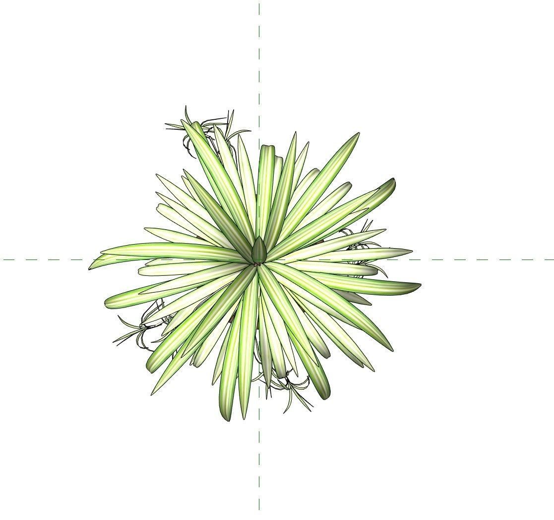 Revit Family pot plant - Three sizes- High quality 3D model 3D model_34