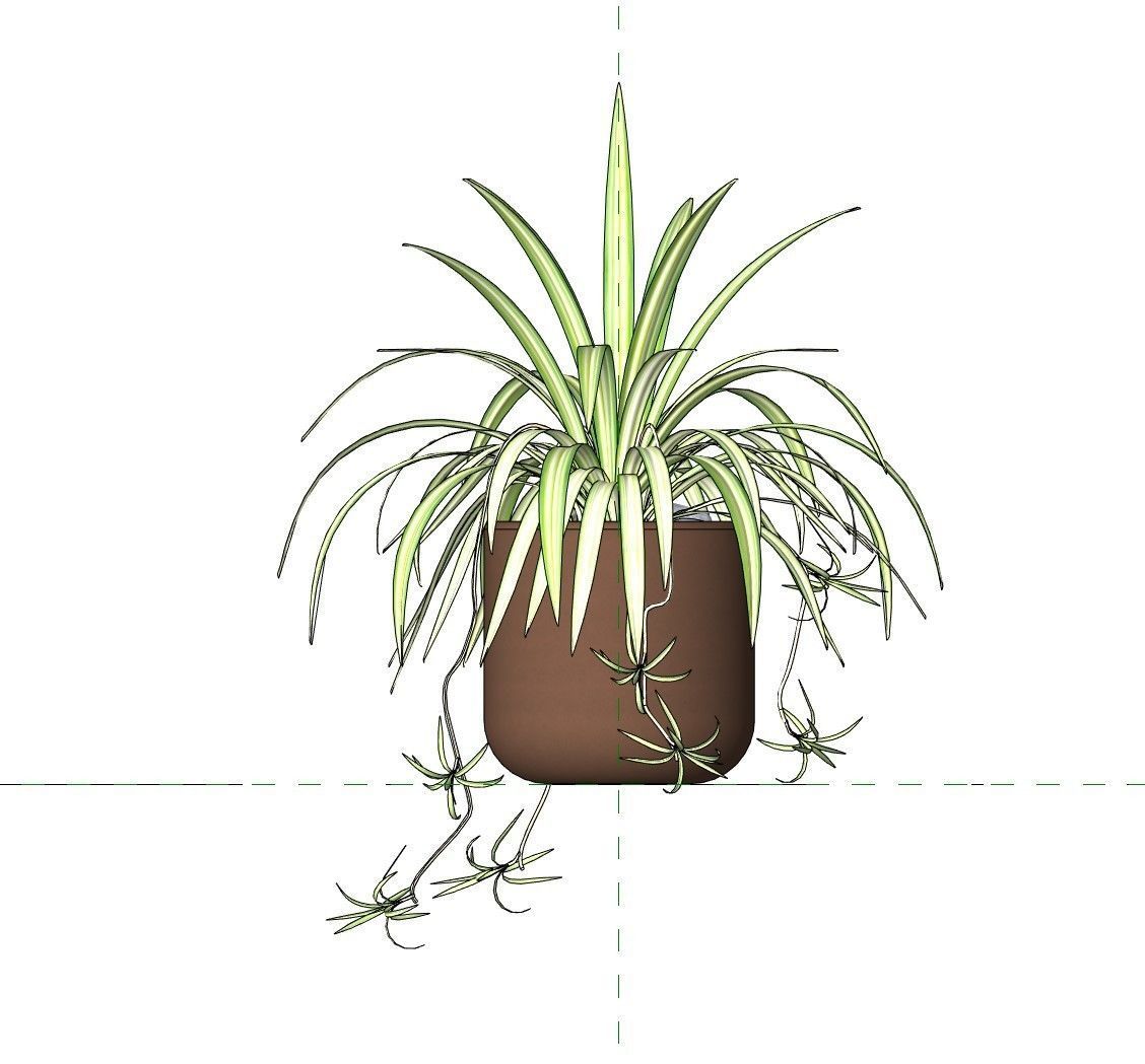 Revit Family pot plant - Three sizes- High quality 3D model 3D model_38