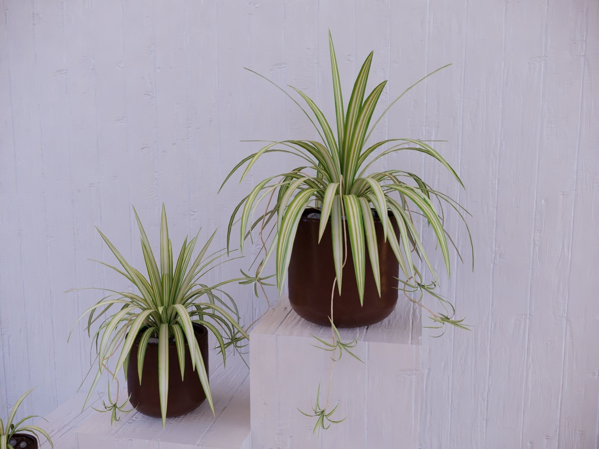 Revit Family pot plant - Three sizes- High quality 3D model 3D model_10