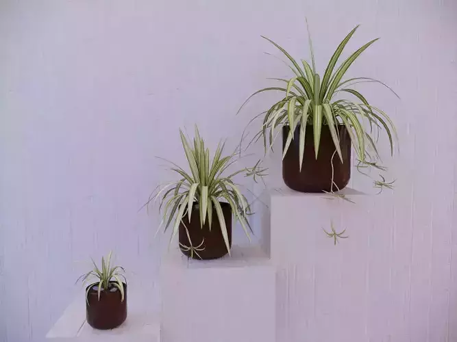 Revit Family pot plant - Three sizes- High quality 3D model 3D model