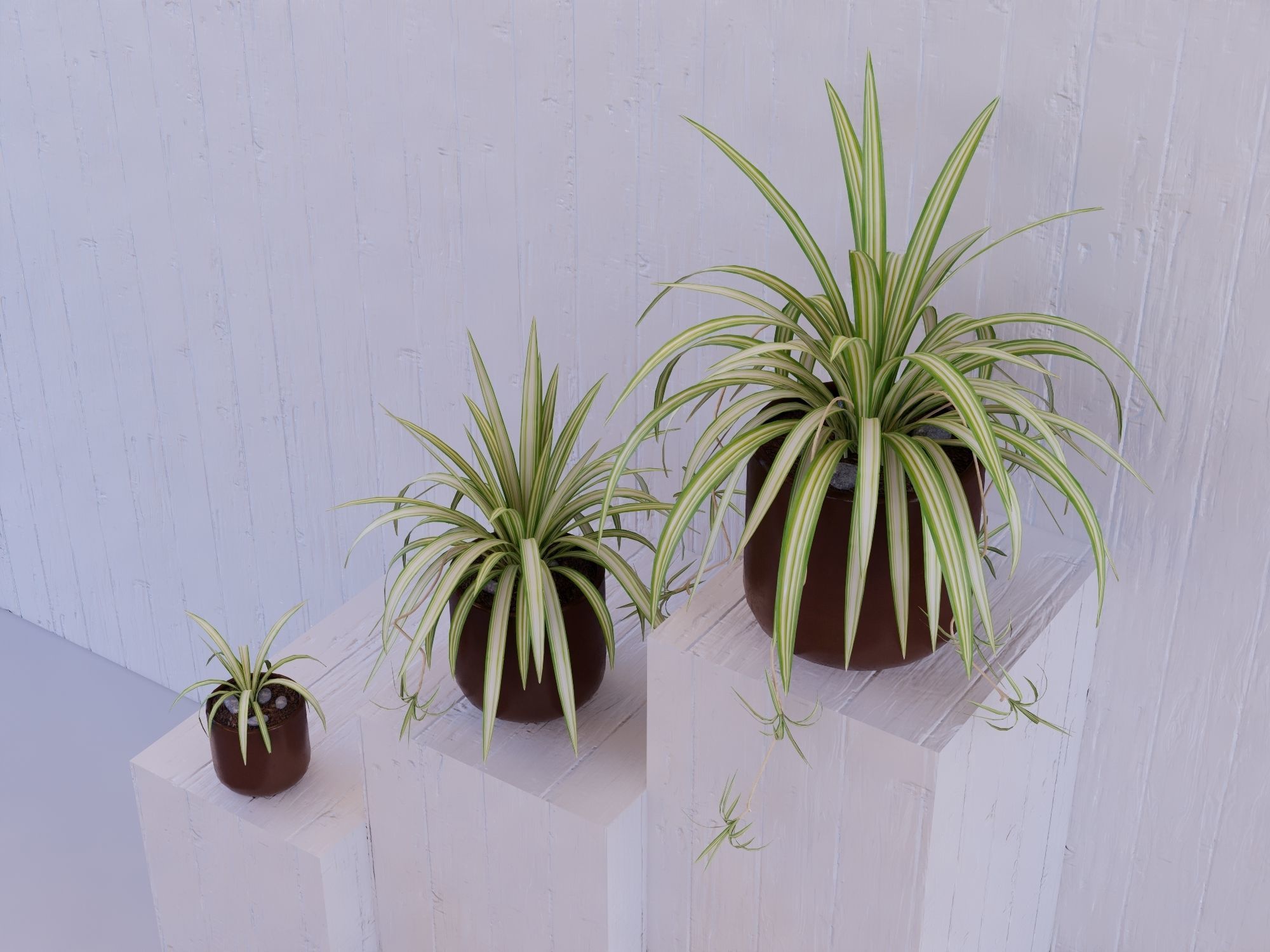 Revit Family pot plant - Three sizes- High quality 3D model 3D model_15